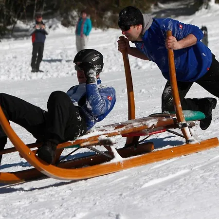 호텔 Garni Schweizerhaus 3*