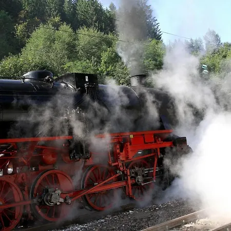 Garni Schweizerhaus 호텔