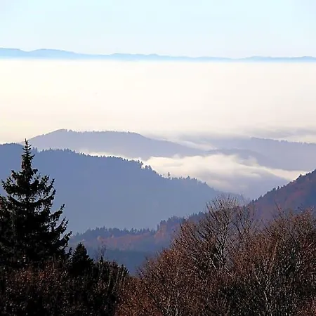 Hotel Garni Schweizerhaus 3*
