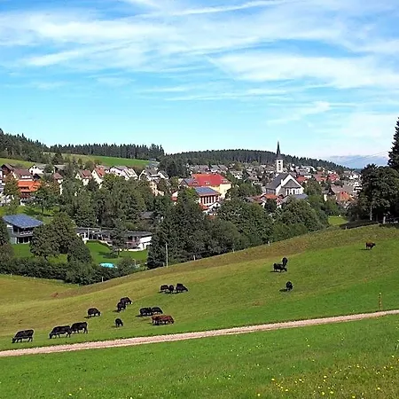 Garni Schweizerhaus Hotel 3*